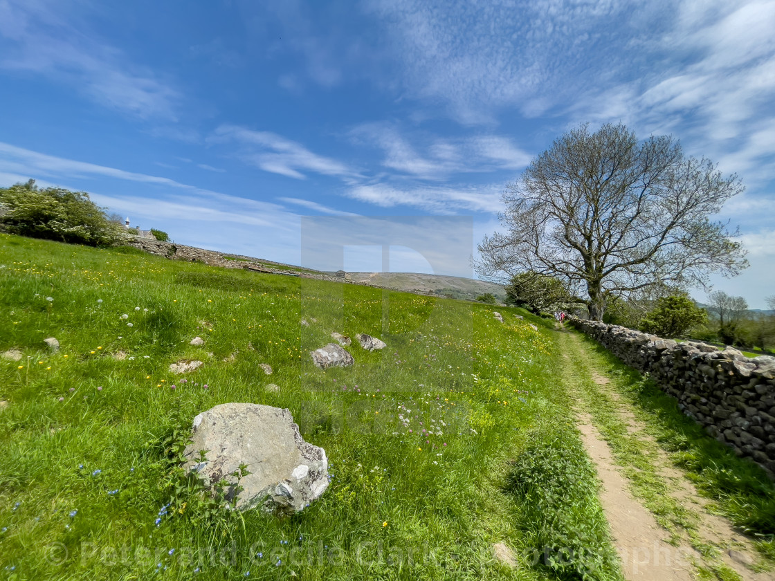 "Public Footpath near Reeth, Swaledale." stock image