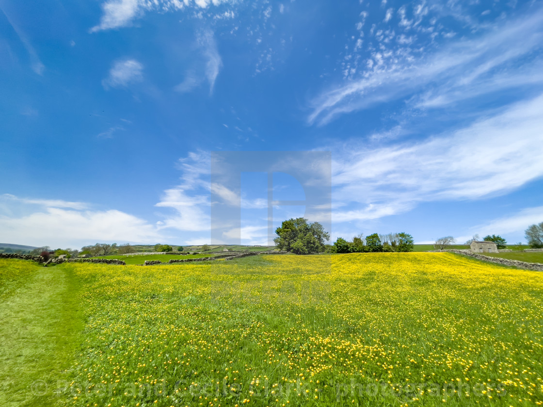 "Swaledale Wild Flower Meadow and Field Barn near Reeth." stock image