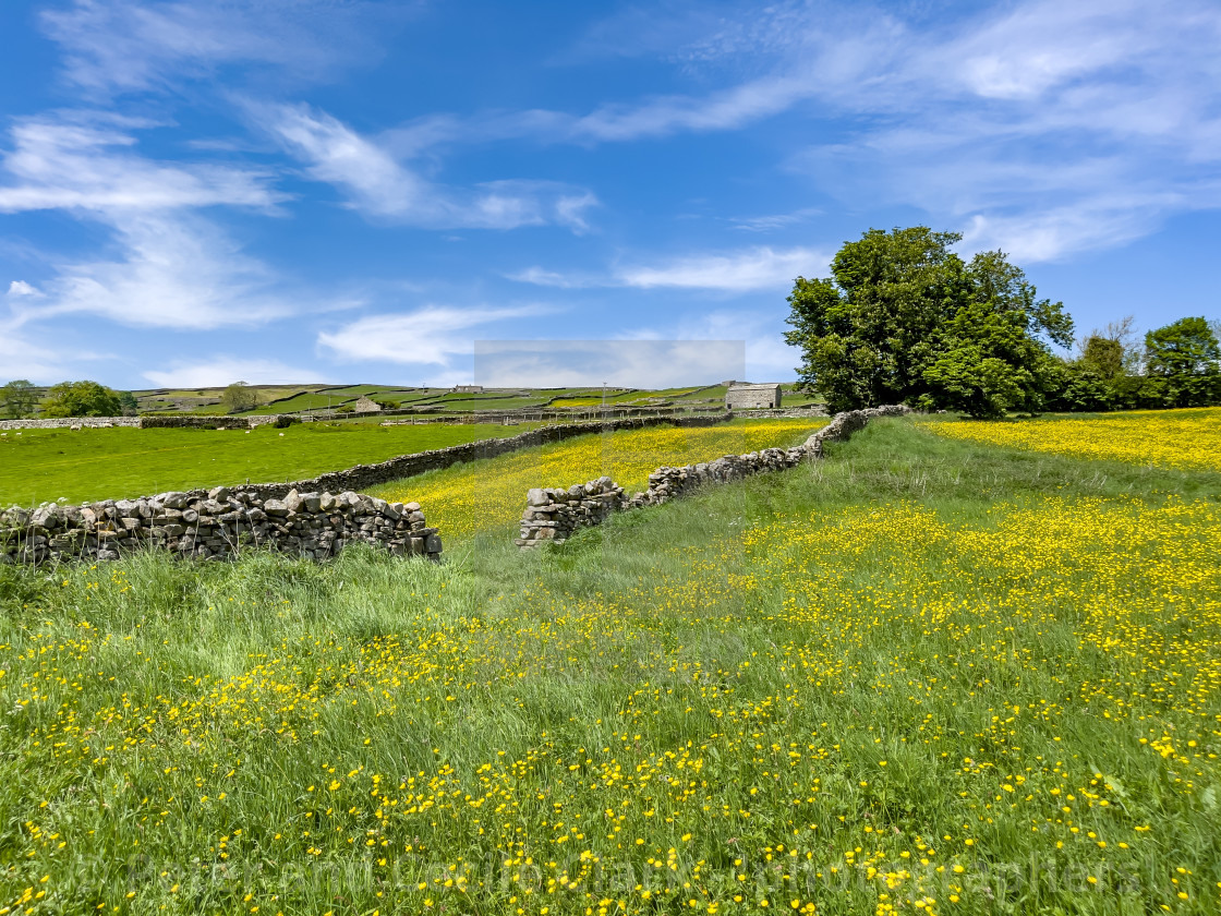 "Swaledale Wild Flower Meadow and Field Barn near Reeth." stock image