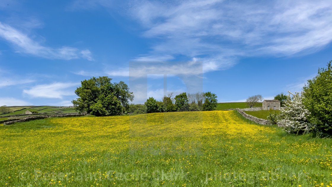 "Swaledale Wild Flower Meadow and Field Barn near Reeth." stock image