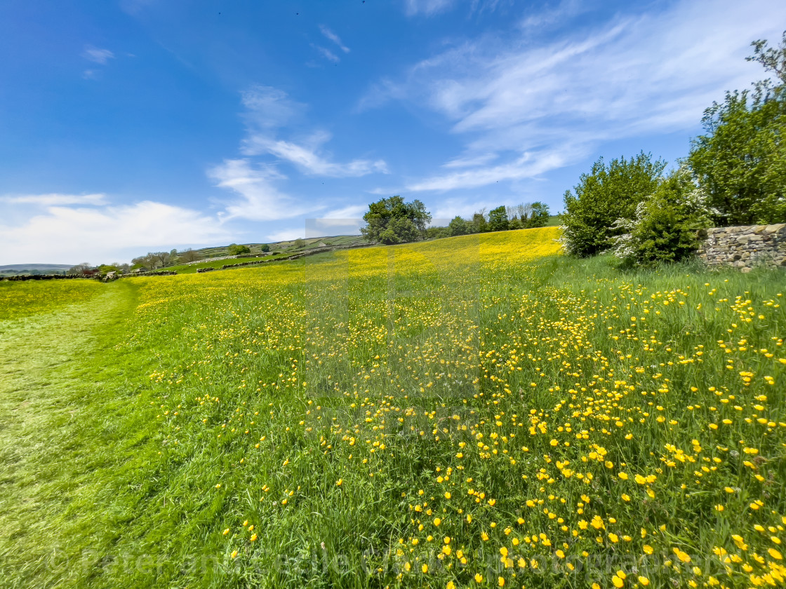 "Swaledale Wild Flower Meadow and Footpath near Reeth." stock image