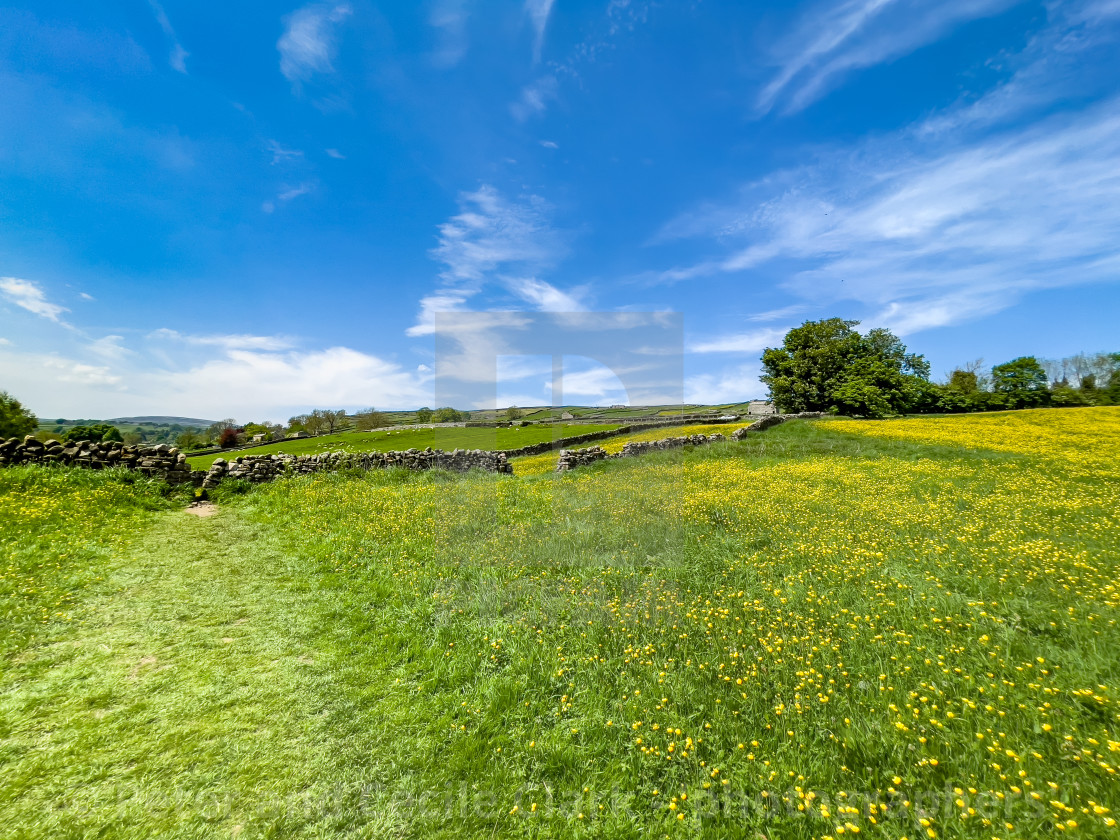 "Swaledale Wild Flower Meadow and Footpath near Reeth." stock image