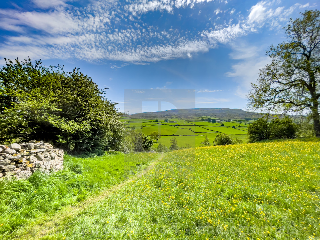 "Swaledale Wild Flower Meadow and Footpath near Reeth." stock image