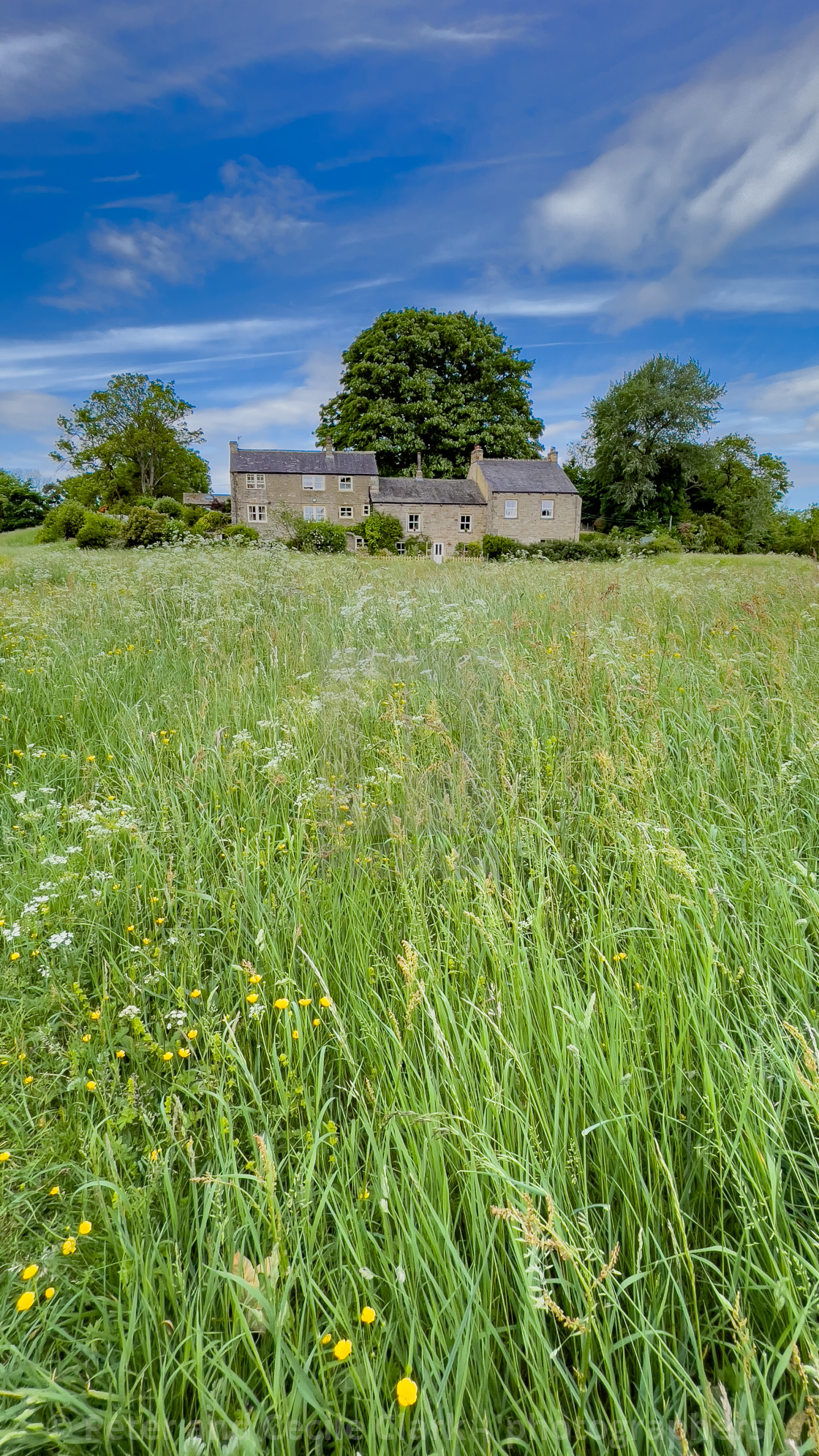 "Cottages, Linton in Craven. Meadow to Foreground." stock image