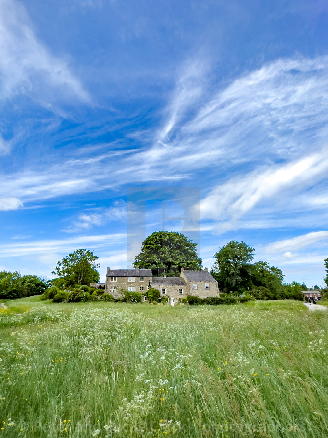 "Cottages, Linton in Craven. Meadow to Foreground." stock image