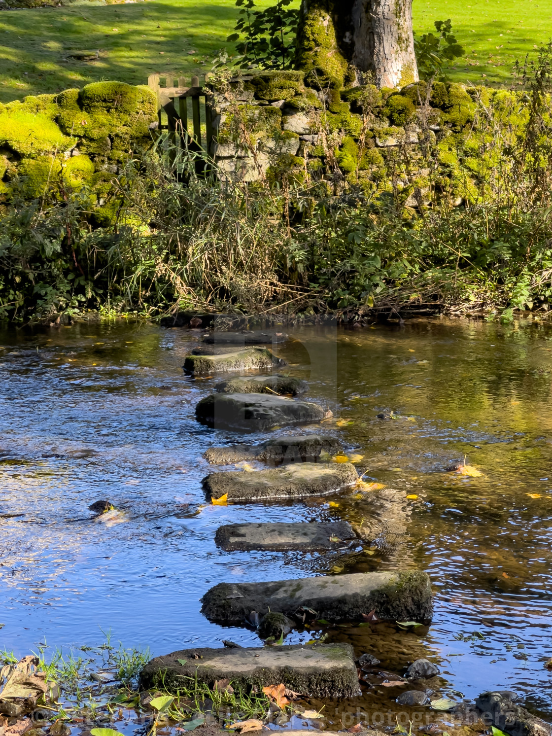 "Stepping Stones over Linton Beck, Yorkshire." stock image