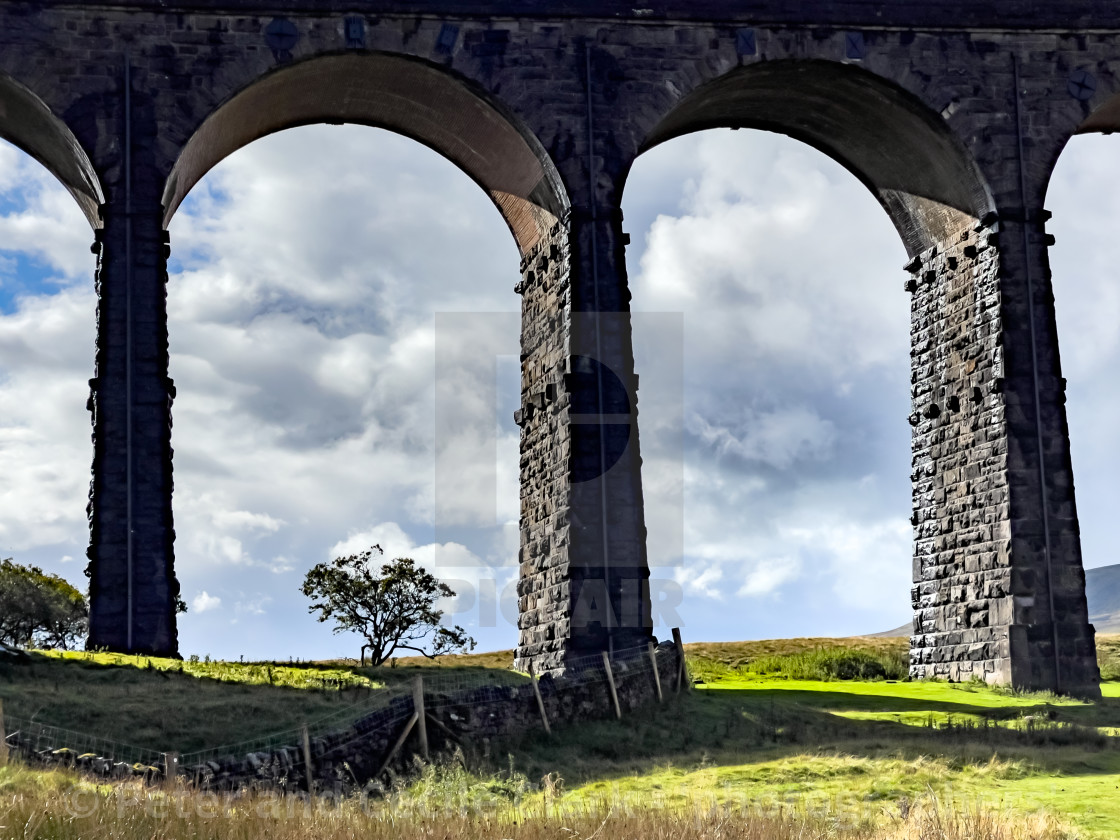"Ribblehead Viaduct Arches." by Peter and Cecile Clark - 'photographers' - $25.35 "Ribblehead Viaduct Arches." stock image
