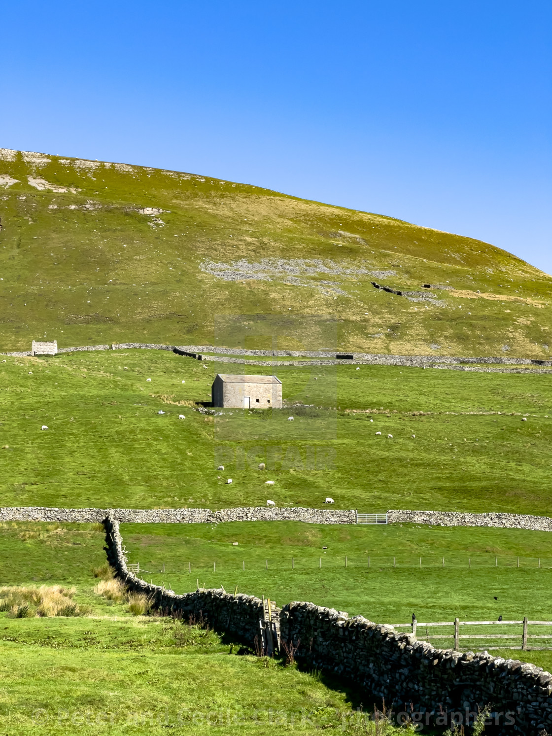 "Cumbria Meadow and Barns" stock image