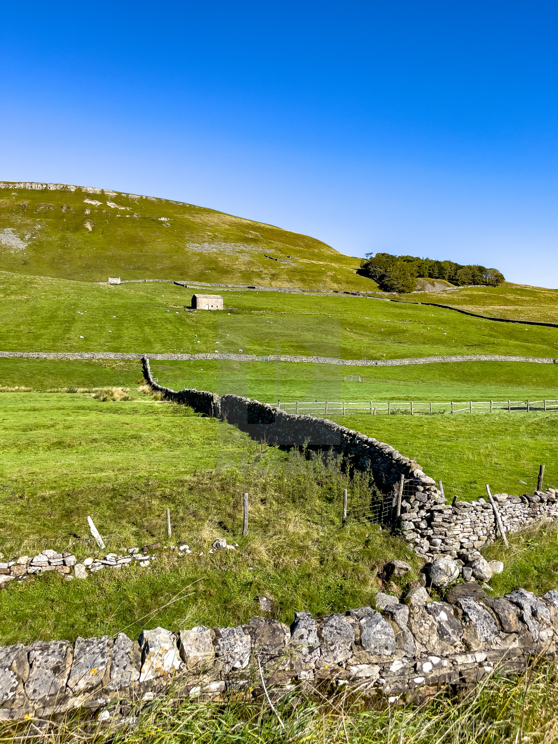 "Cumbria Meadow and Barns" stock image