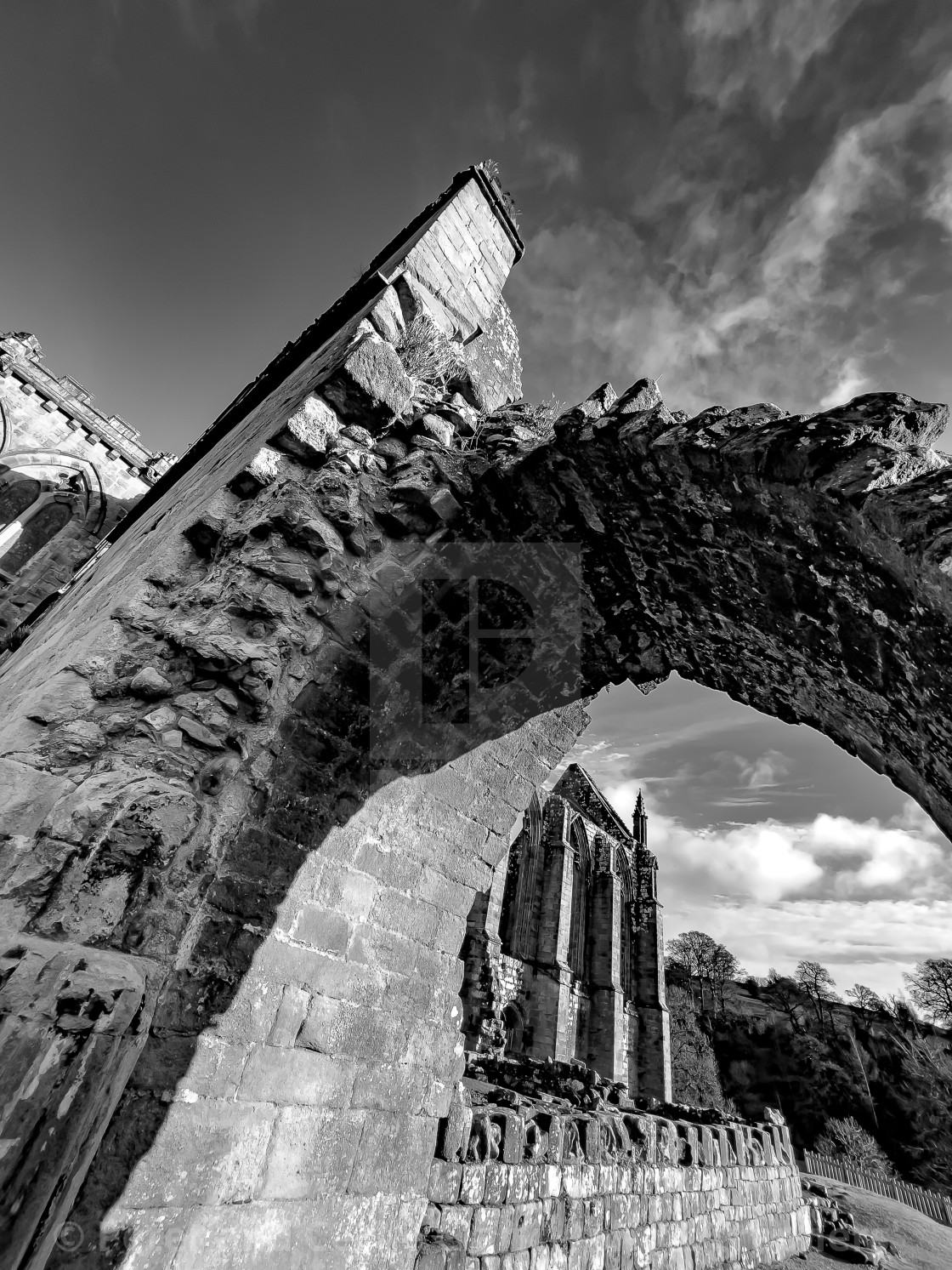 "Bolton Abbey Priory, Yorkshire, The Ruins." stock image