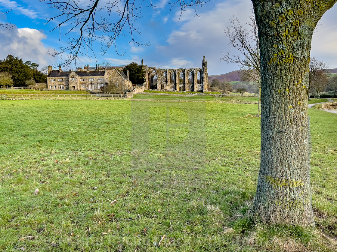 "Bolton Abbey Priory, Yorkshire, The Ruins." stock image