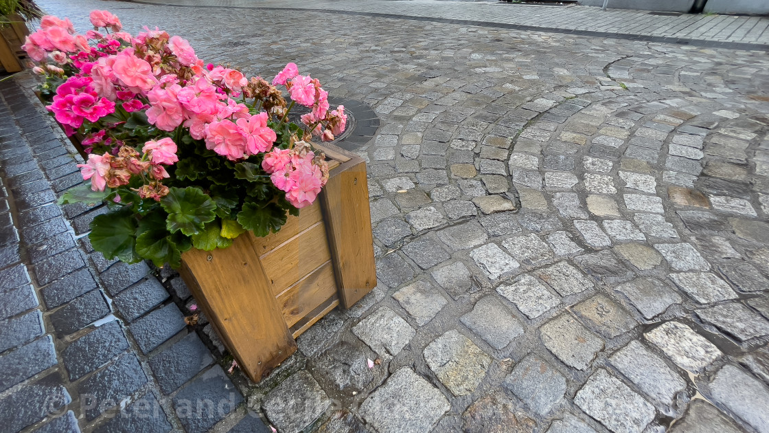 "Cobbles and Colourful Flowers, Street Scene, Gliwice, Poland." stock image