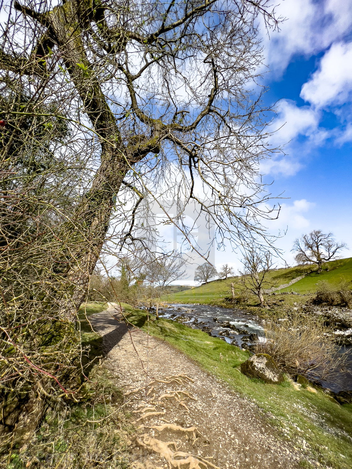 "River Wharfe, Near Burnsall." stock image