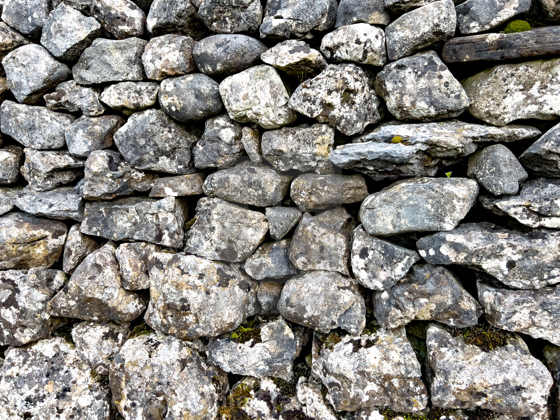 "Dry Stone Wall, Yorkshire Dales" stock image