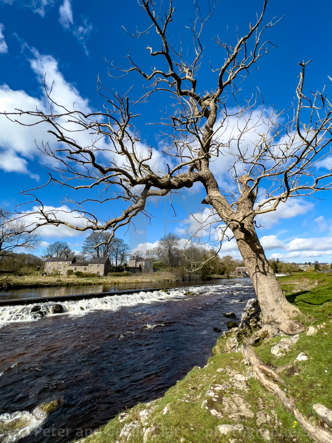 "River Wharfe, Weir, Linton Falls." stock image