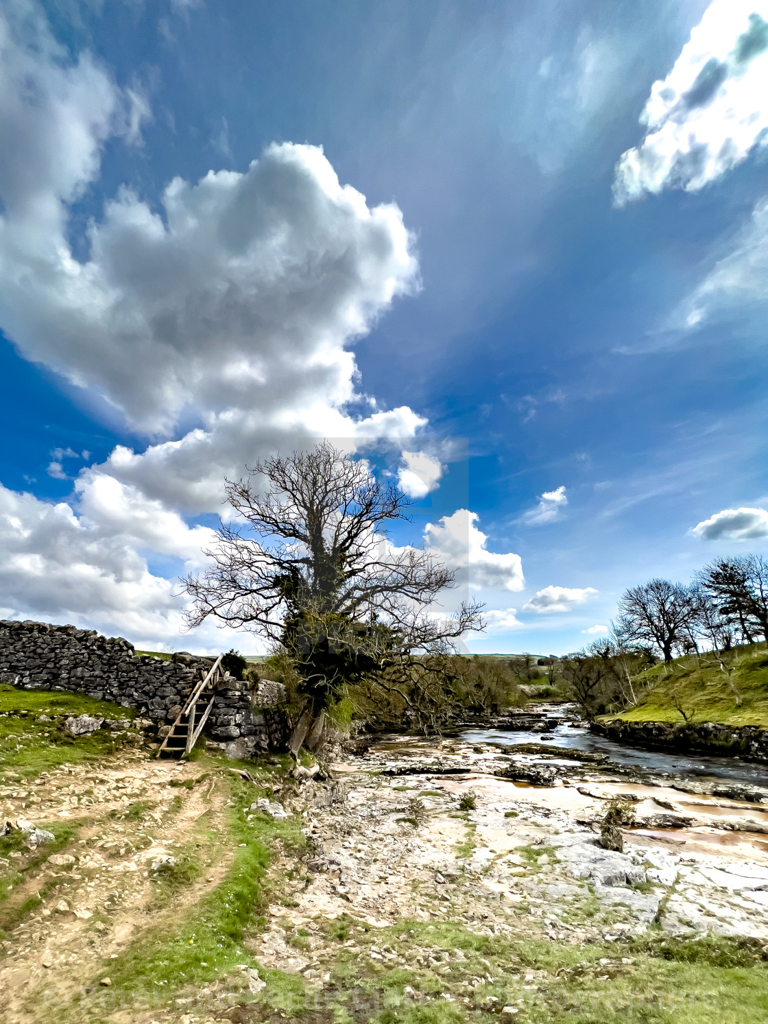 "Footpath next to River Wharfe." stock image