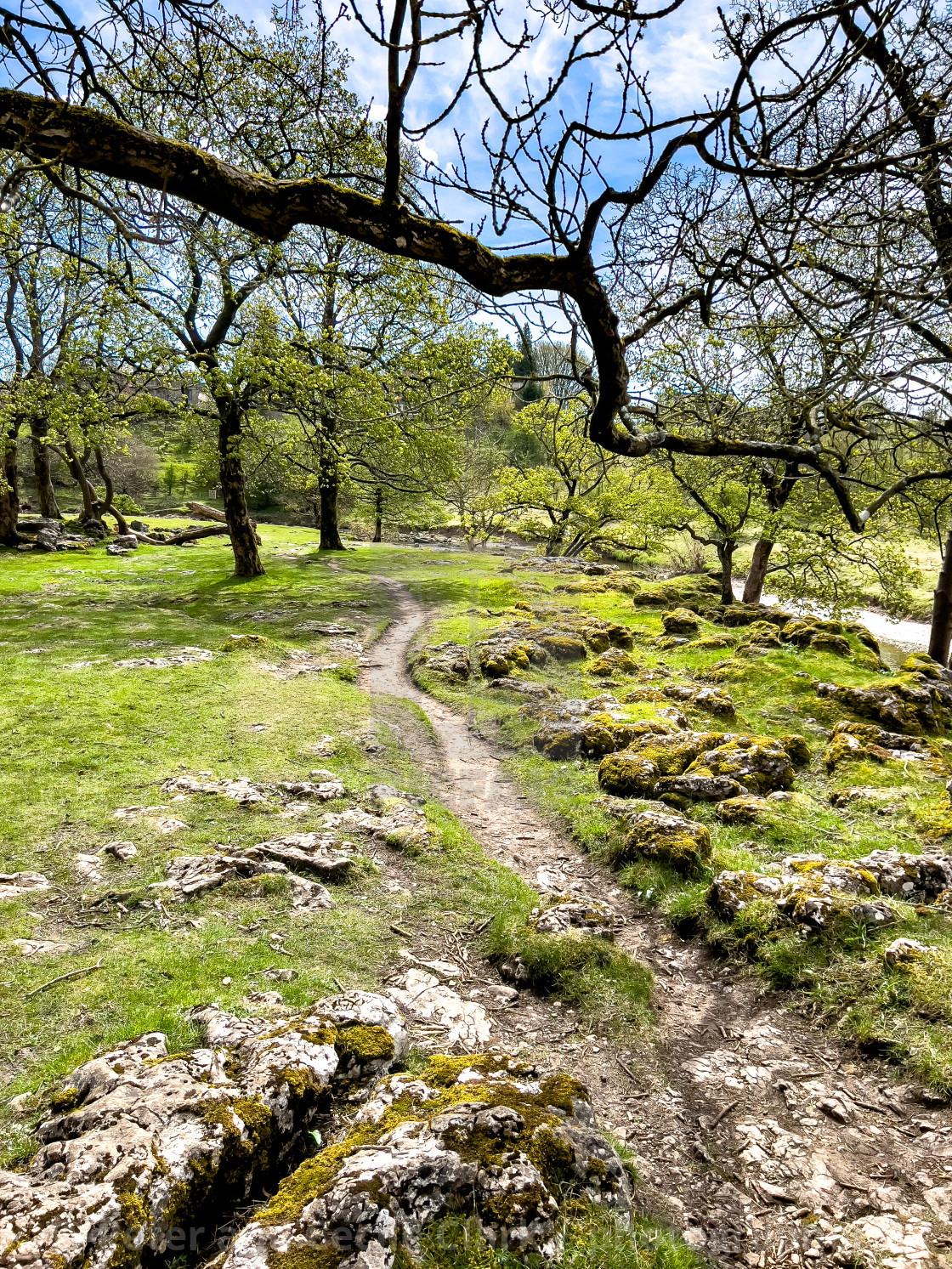 "Footpath next to River Wharfe." stock image