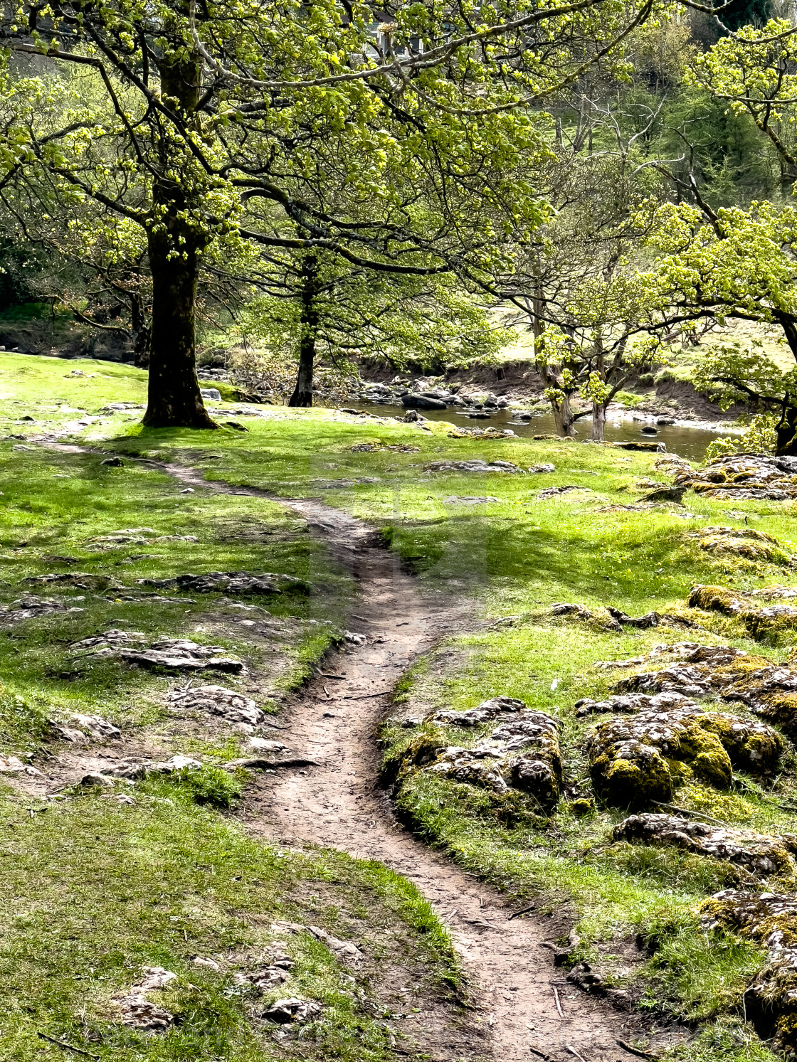 "Footpath next to River Wharfe." stock image