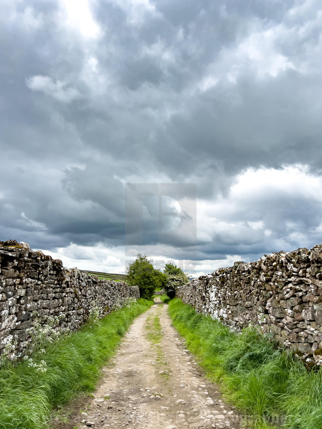 "Grassington to Hebden, High Lane, ancient packhorse route." stock image