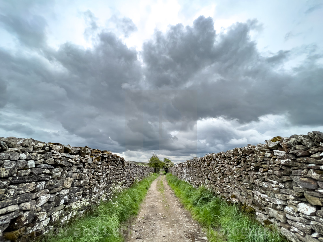 "Grassington to Hebden, High Lane, ancient packhorse route." stock image