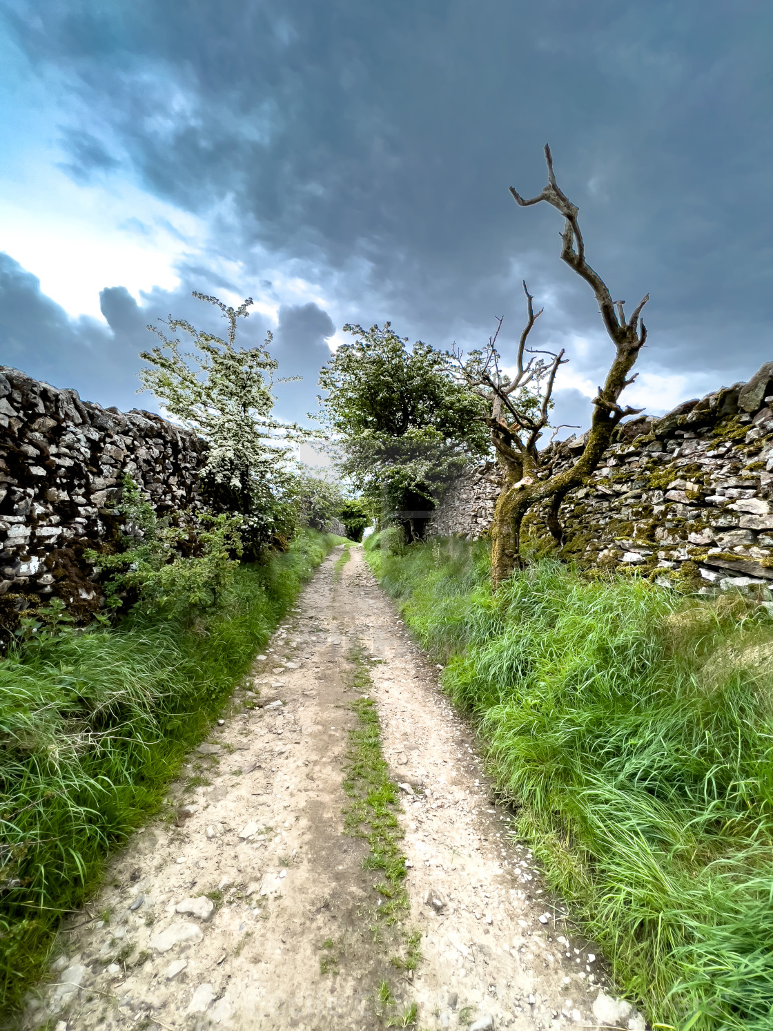 "Grassington to Hebden, High Lane, ancient packhorse route." stock image