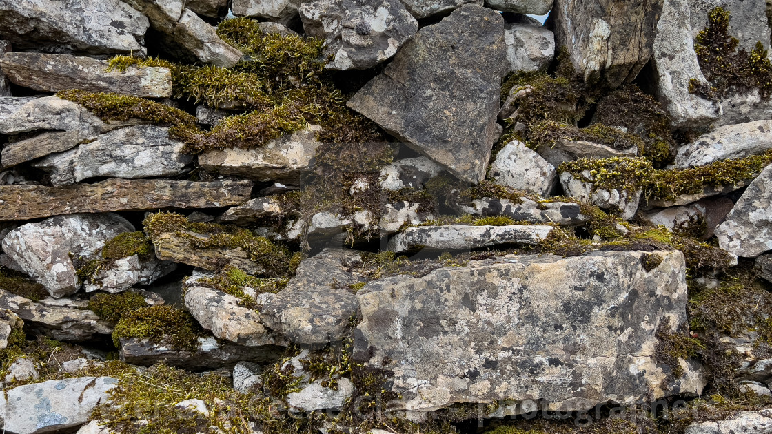 "Drystone Wall, Yorkshire Dales." stock image