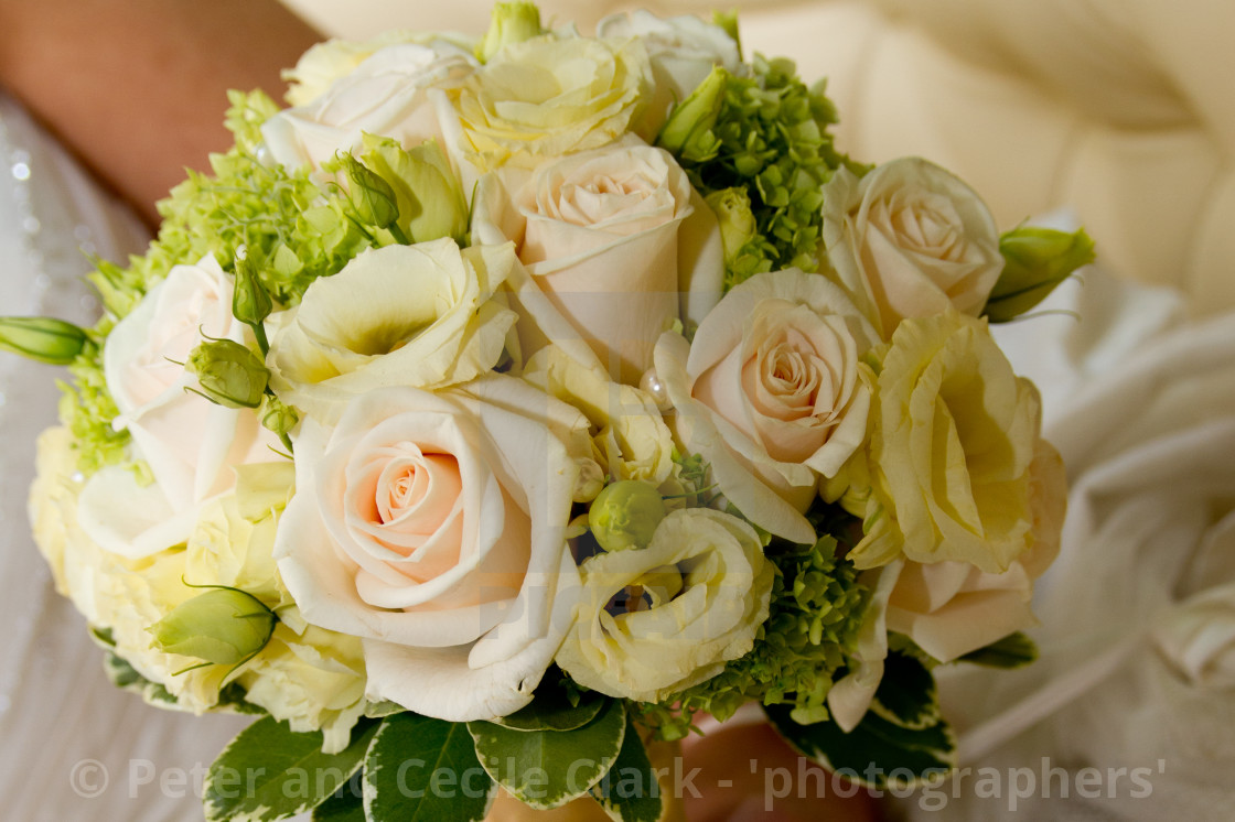 "Flower Bouquet" stock image