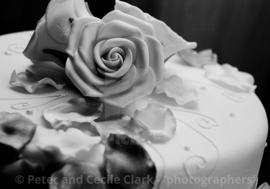 "Wedding Cake Flower" stock image