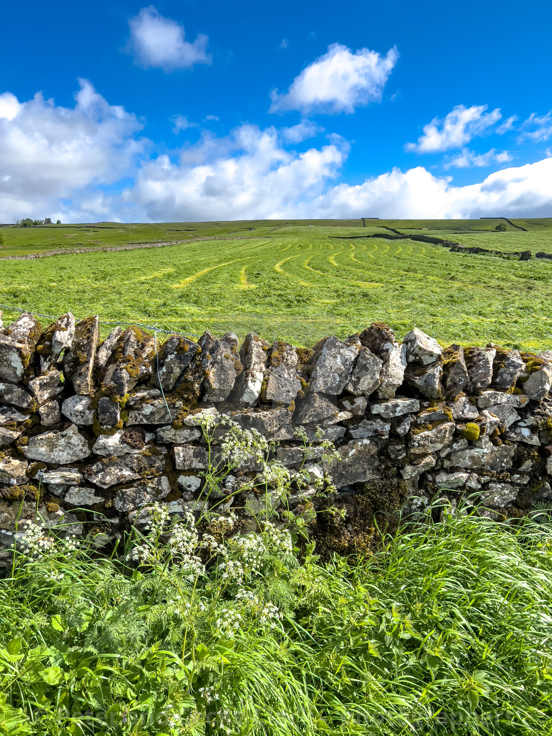 "Fields and Pastures, Grassington, Yorkshire Dales, England." stock image