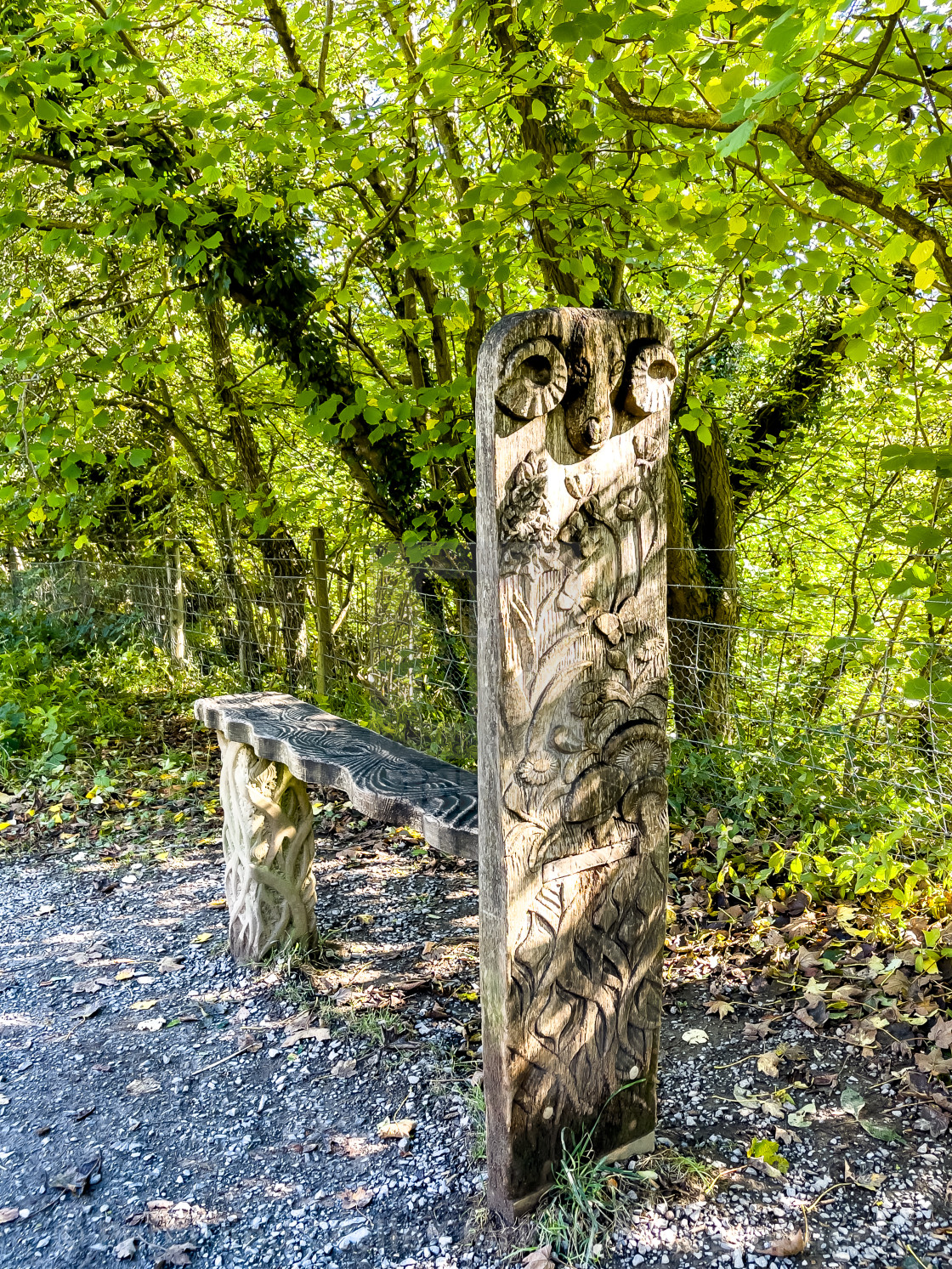 "Aysgarth Falls, Carved Seat." stock image