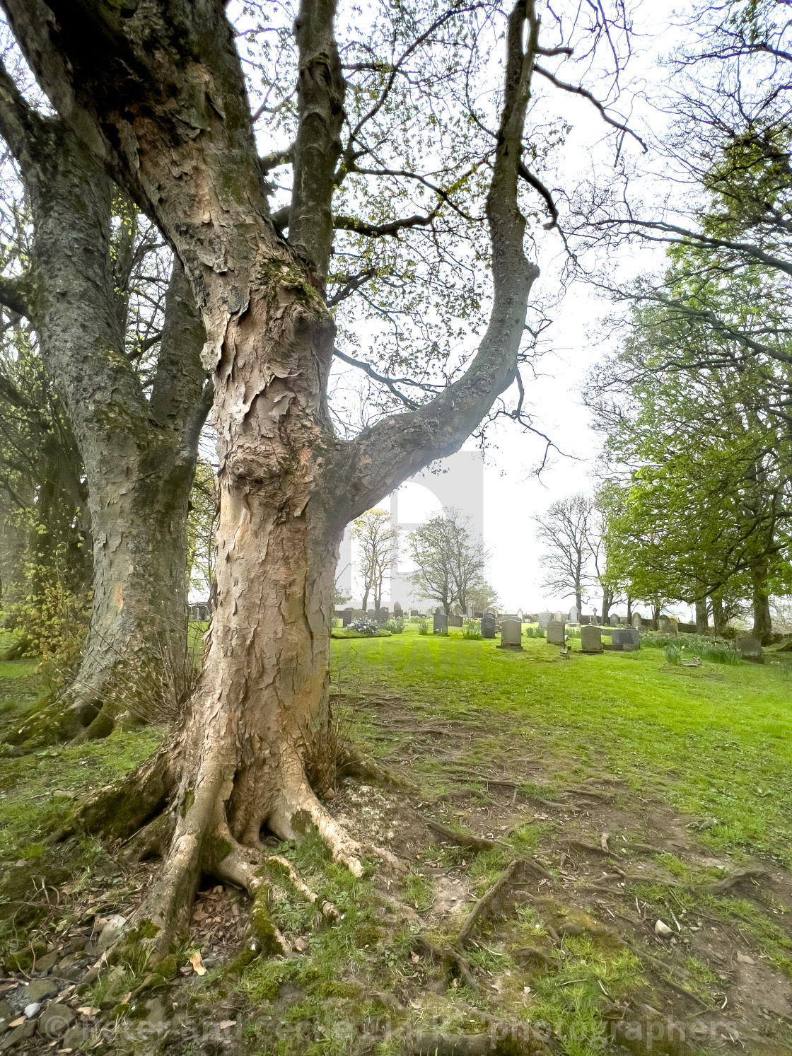 "Hawes, St. Margarets Church Graveyard." stock image