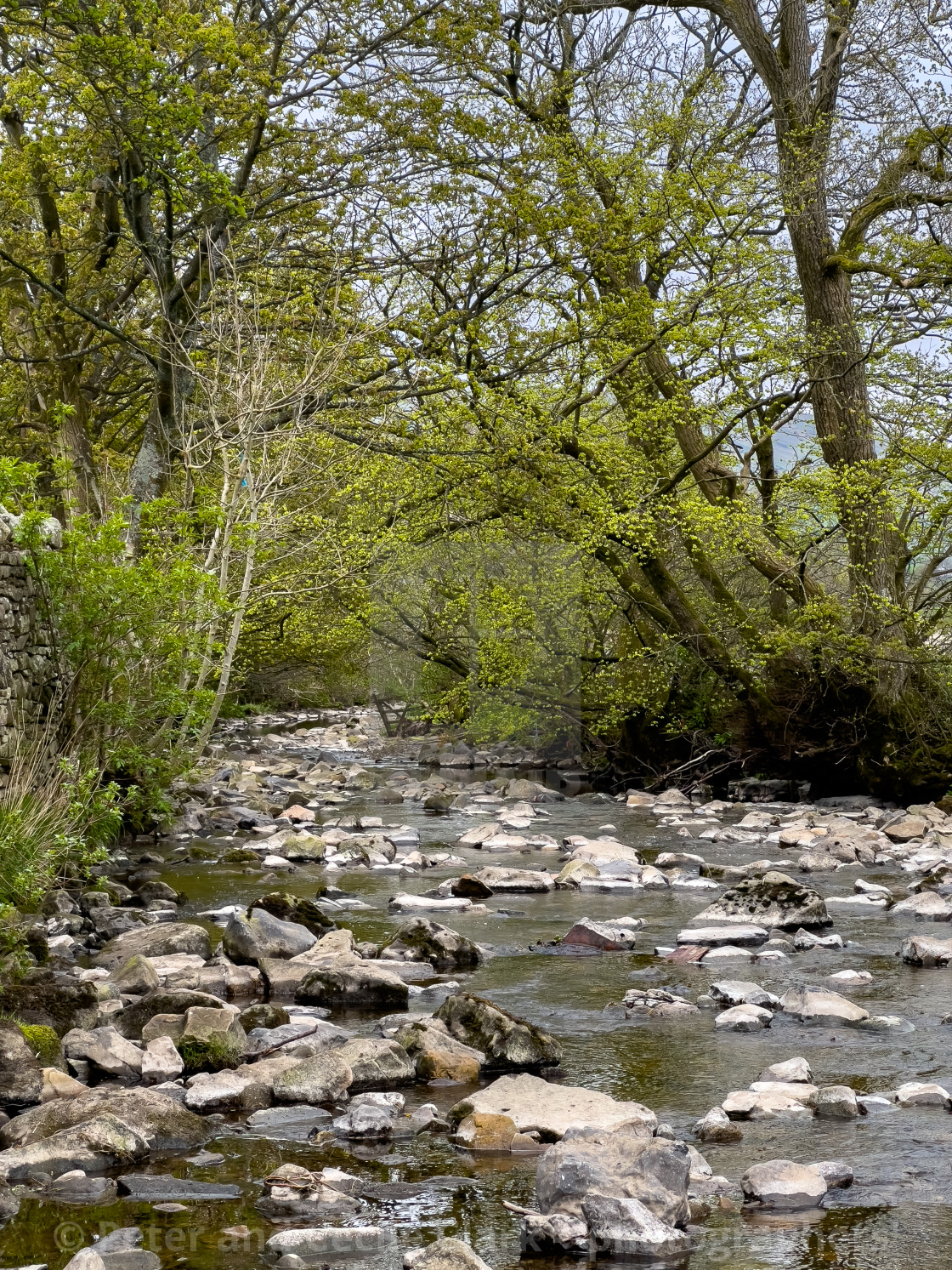 "Hardraw Beck, Yorkshire Dales." stock image