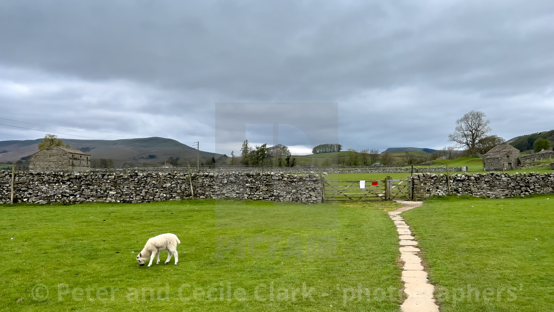 "Yorkshire Dales Field Barn" stock image