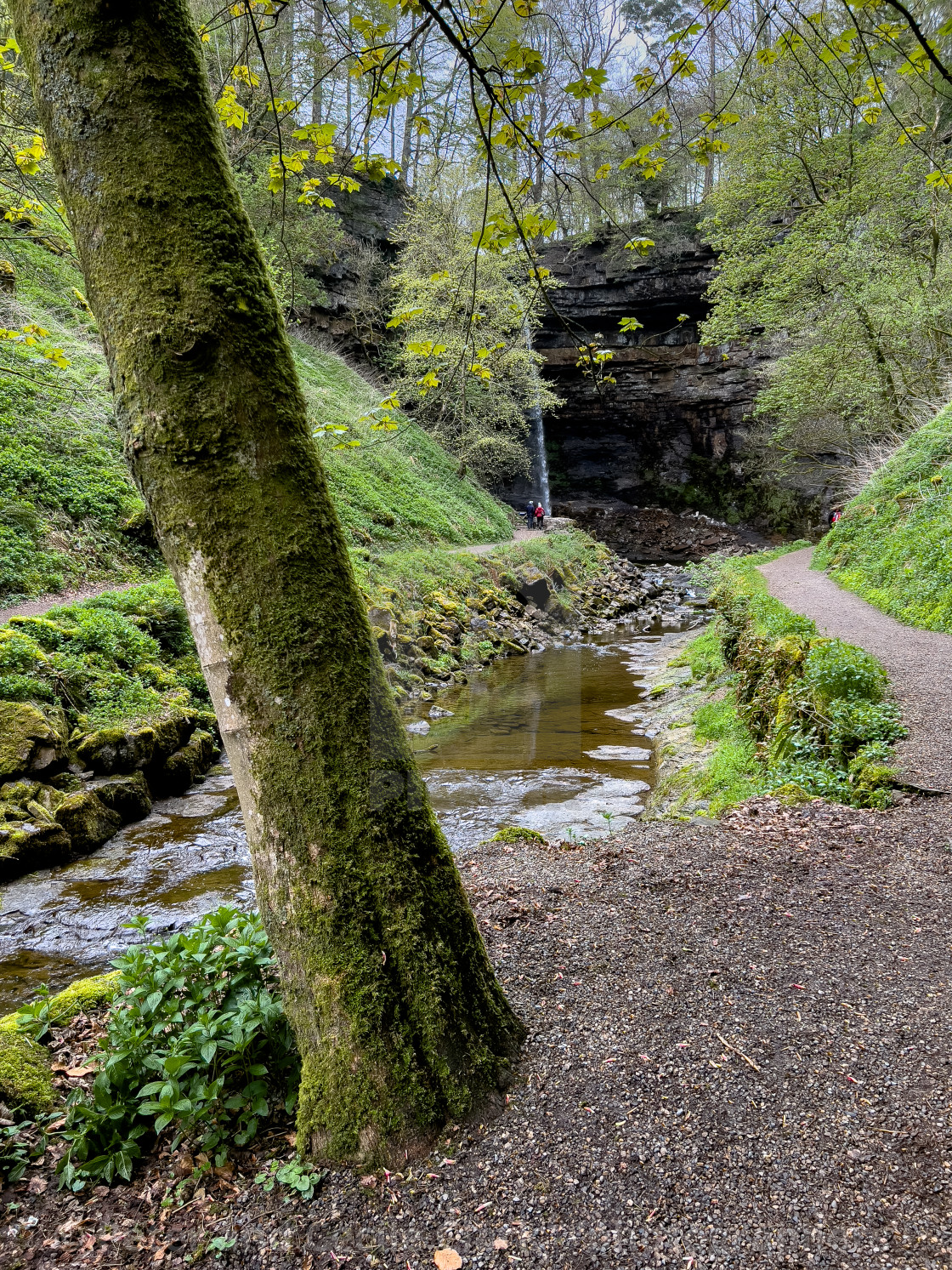 "Hardraw Force." stock image