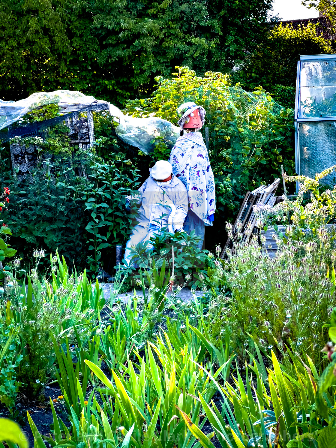 "Helmsley Scarecrow" stock image