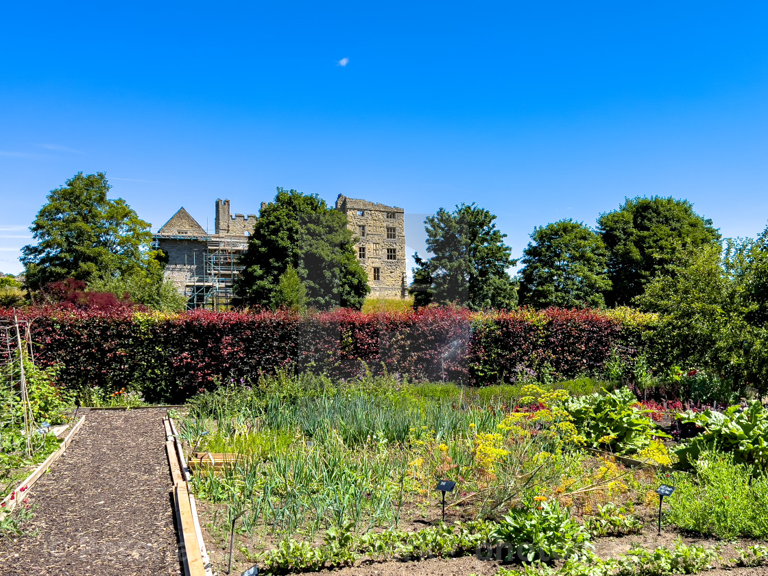 "Helmsley Walled Garden" stock image