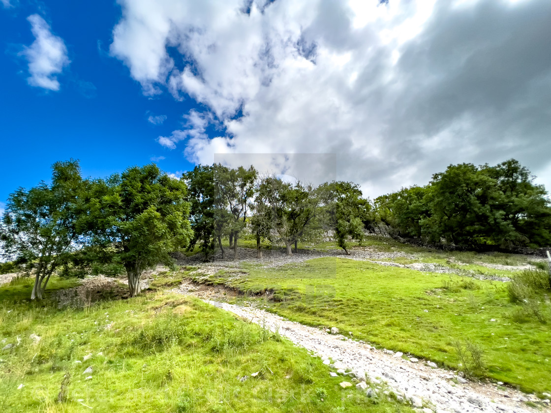 "Farm Track above Kettlewell." stock image