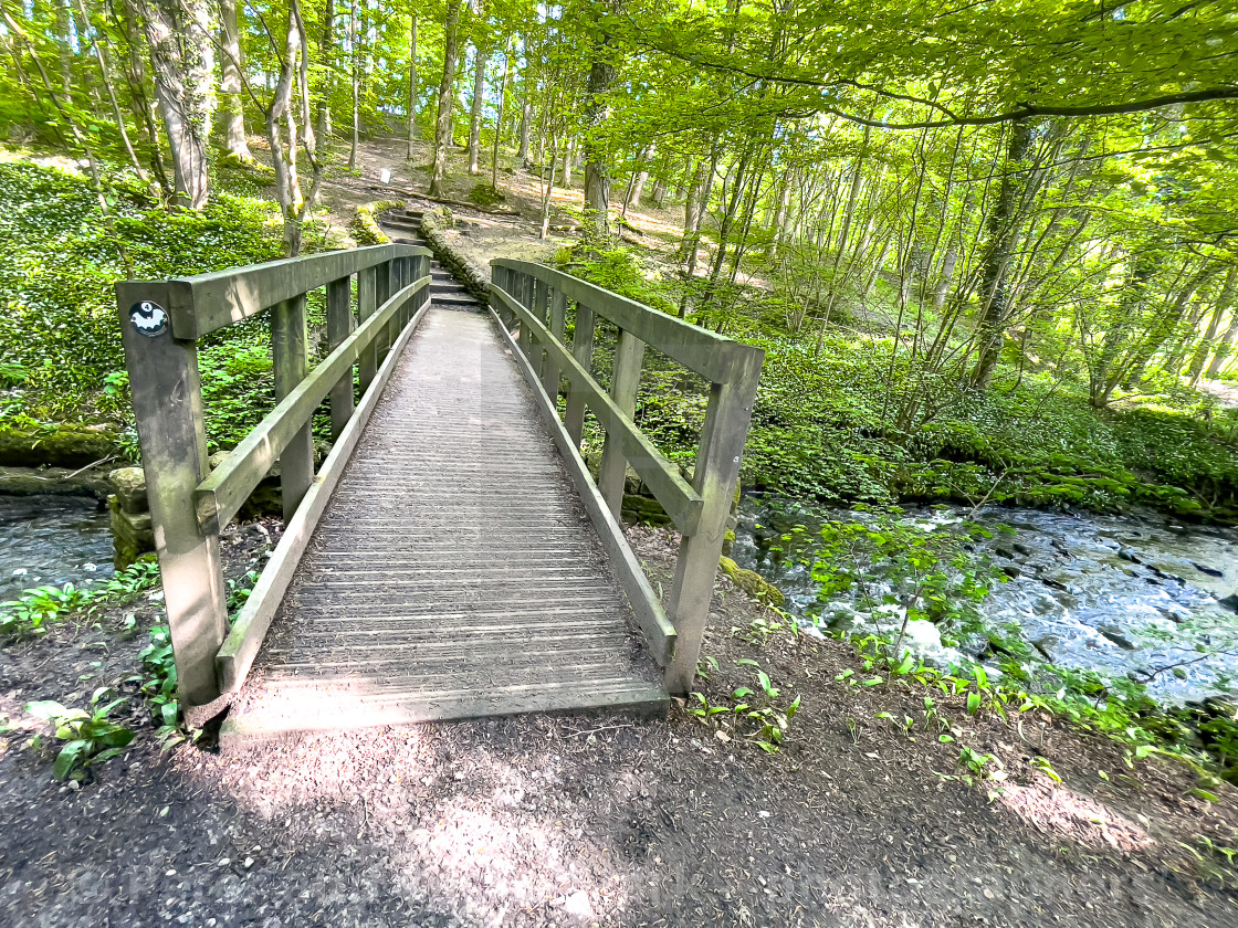 "Skipton Castle Woods and Beck Footbridge, Skipton, North Yorkshire, England." stock image