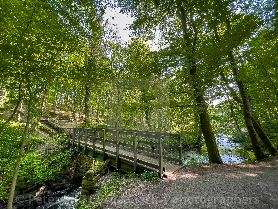 "Skipton Castle Woods and Beck Footbridge, Skipton, North Yorkshire, England." stock image