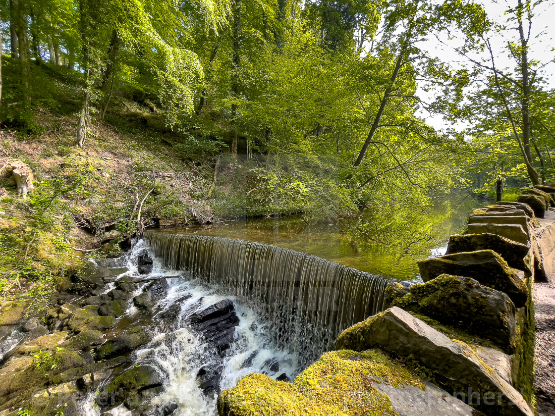 "Skipton Castle Woods and Beck, Skipton, North Yorkshire, England." stock image