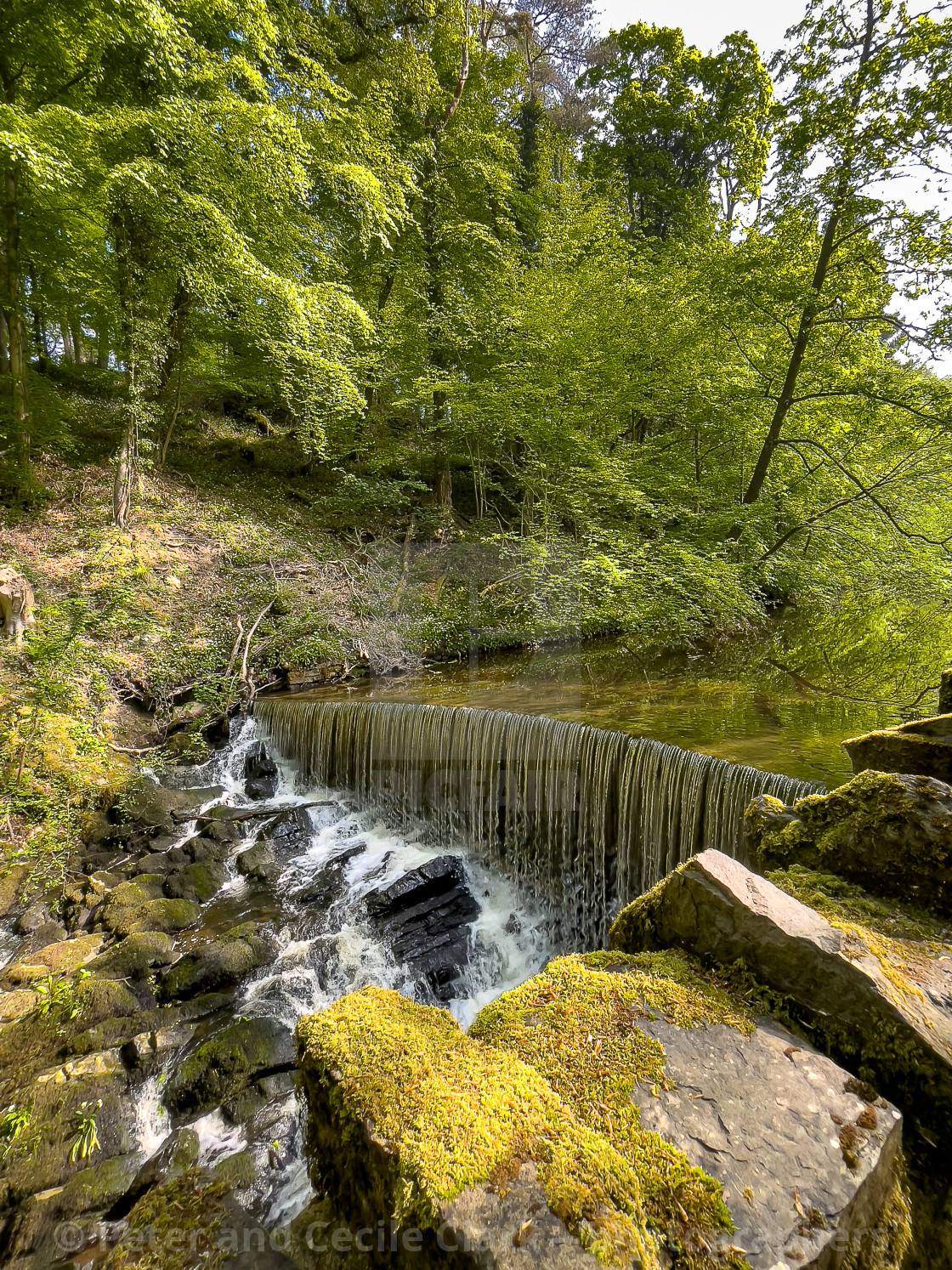 "Skipton Castle Woods and Beck, Skipton, North Yorkshire, England." stock image