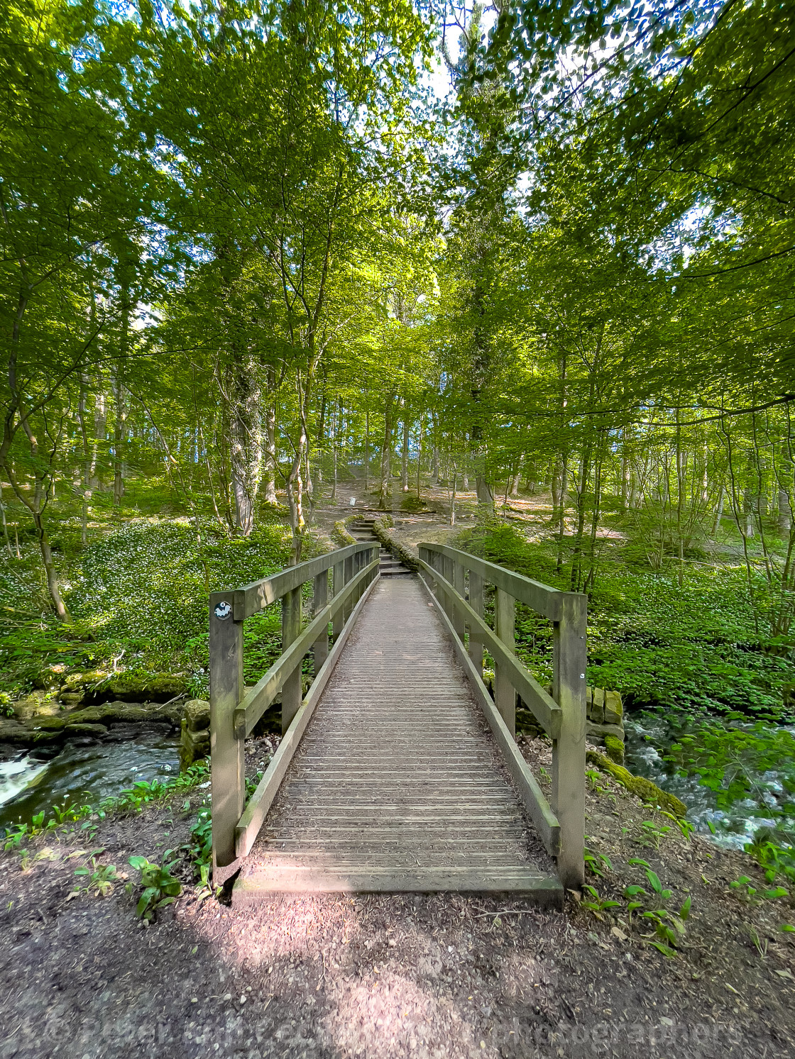 "Skipton Castle Woods and Beck Footbridge, Skipton, North Yorkshire, England." stock image