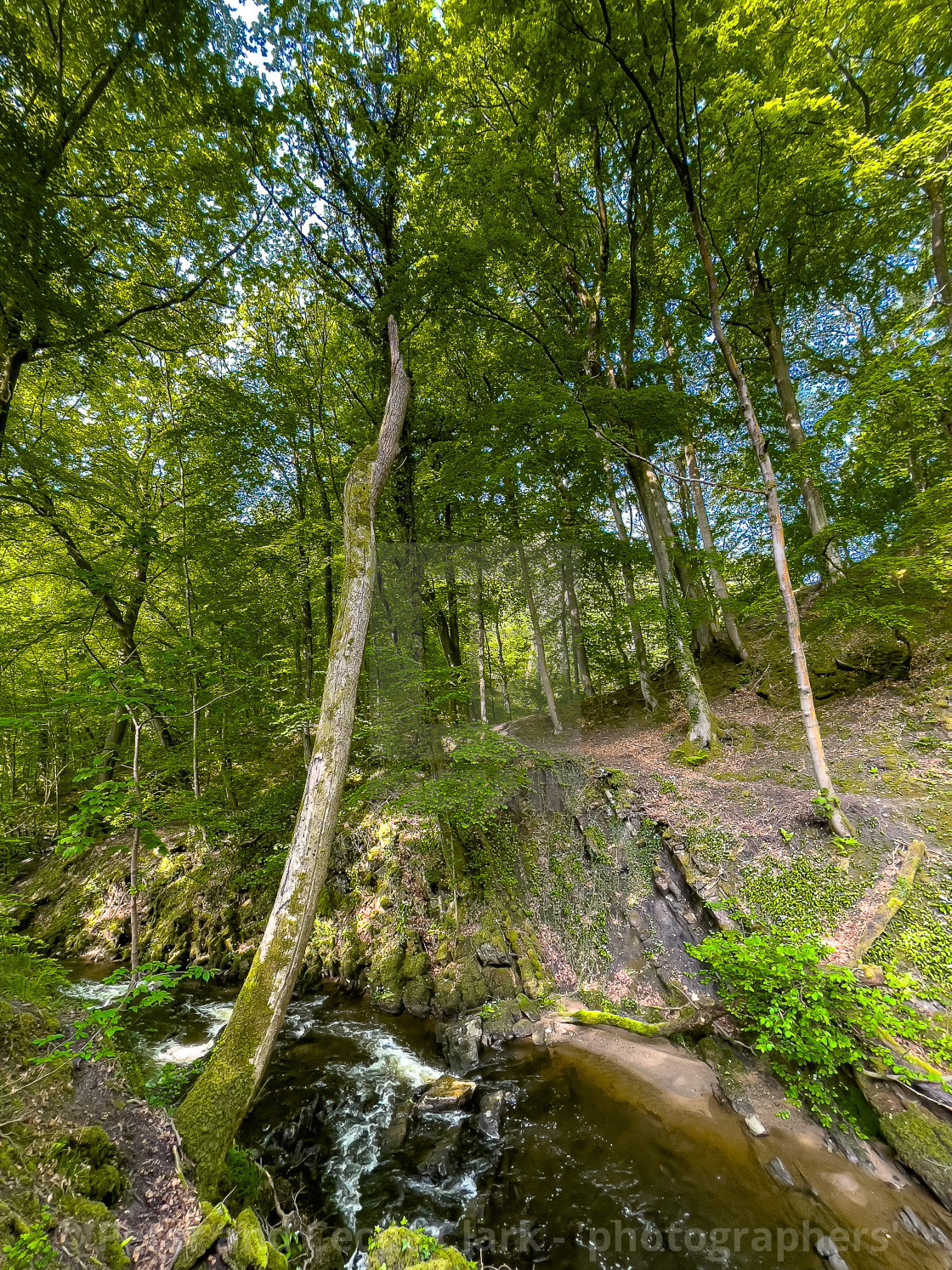 "Skipton Castle Woods and Beck, Skipton, North Yorkshire, England." stock image