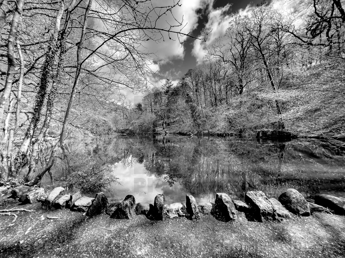 "Skipton Castle Woods and Dam, Skipton, North Yorkshire, England." stock image