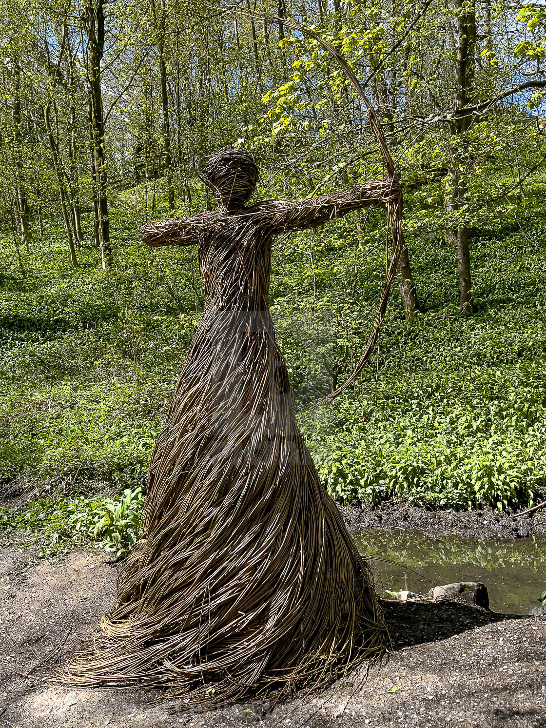 "Willow Sculpture of Woman Archer ‘Spirit of Medieval Huntress’. Located in Skipton Castle Woods, Skipton," stock image