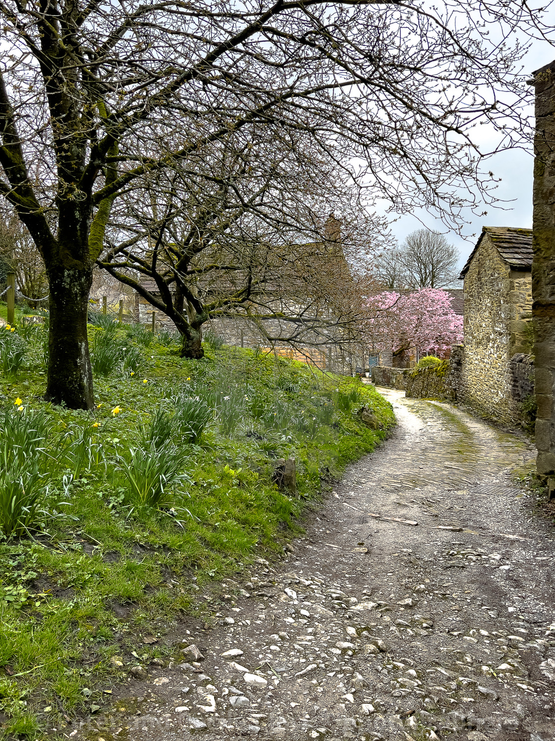 "Grassington Cobbled Street, Yorkshire Dales." stock image