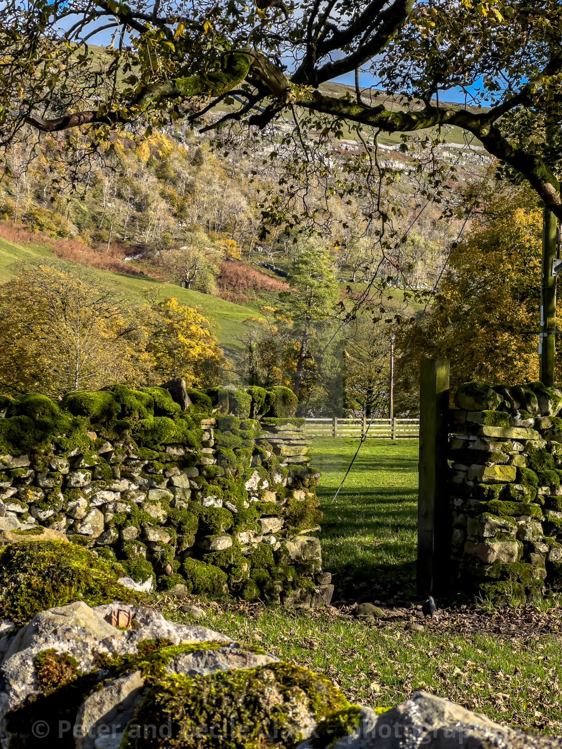 "Countryside Scene, Arncliffe, Littondale, Yorkshire Dales, England, UK." stock image