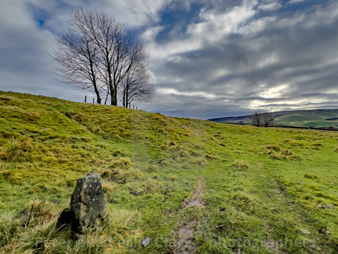 "Field next to Moor Lane a very steep and narrow country lane leading to heather clad moorland and Edge Lane above the Yorkshire Dales village of Grassington." stock image