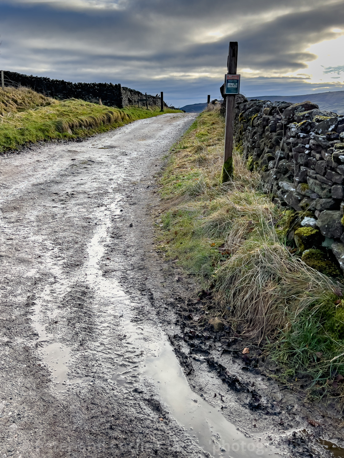 "Edge Lane, near Grassington. A fine Example of a Walled Track., common in the Yorkshire Dales, England, UK. In sunshine after a shower." stock image