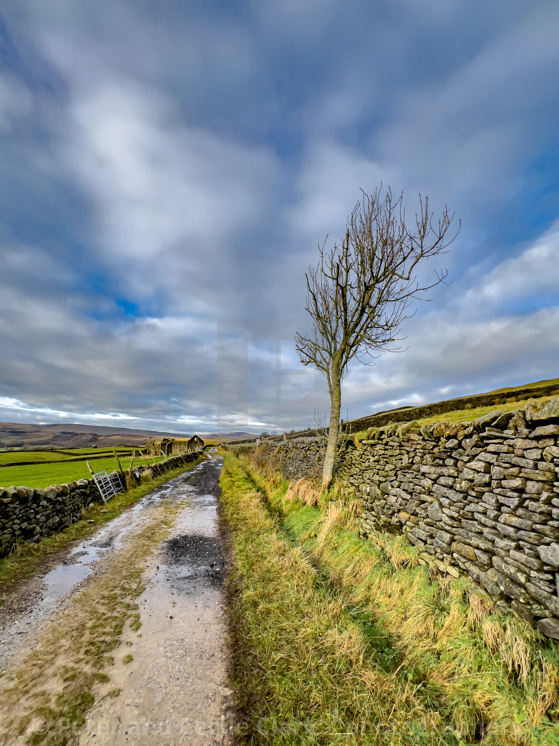 "Derelict Farmhouse and Barn near Edge Lane, near Grassington, Yorkshire Dales, England." stock image